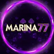 MARIMA77 - Game QiuQiu Terbaik untuk Penggemar Hiburan